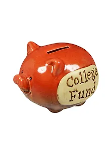 Копилка Поросенок College fund (13х9х8) (7879020)