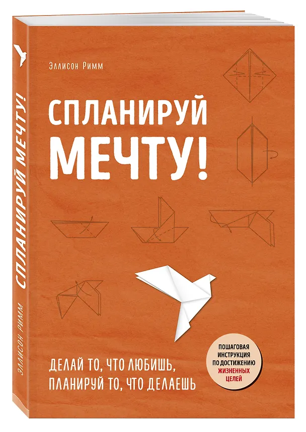 Книга Спланируй мечту. Пошаговая инструкция по достижению жизненных целей (Эллисон Римм) — 4