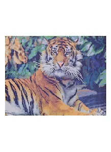 Алмазная мозаика Грозный тигр (AC4058) (класс) (40х50см) (с подрамн.) (с полн. заполн.) (28цв.) (Рыжий Кот) (6+) (коробка)