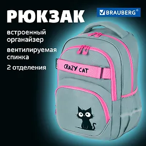 Рюкзак школьный для девочек "Crazy cat"  41*28*17см, 2 отделения, 3 кармана, с карманом для ноутбука, Brauberg