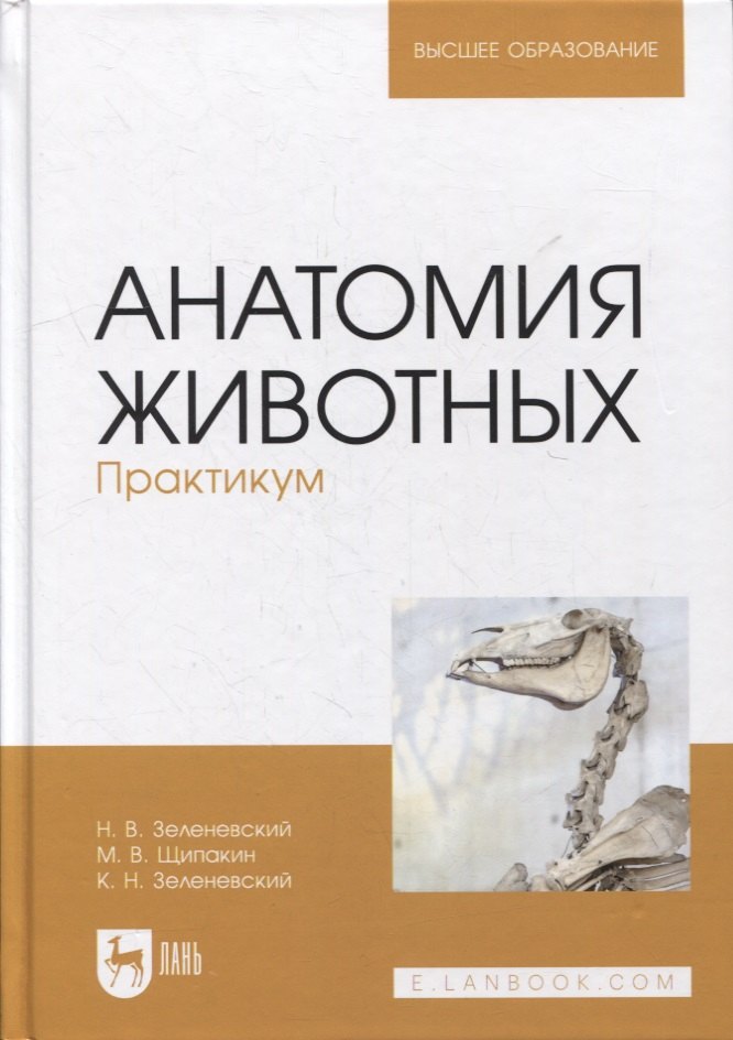 

Анатомия животных. Практикум: учебное пособие для вузов
