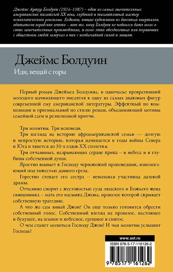 Книга Иди, вещай с горы (Джеймс Артур Болдуин) — 2