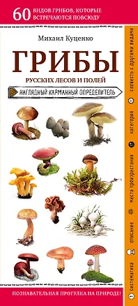 Книга Грибы русских лесов и полей. Наглядный карманный определитель (Михаил Куценко)