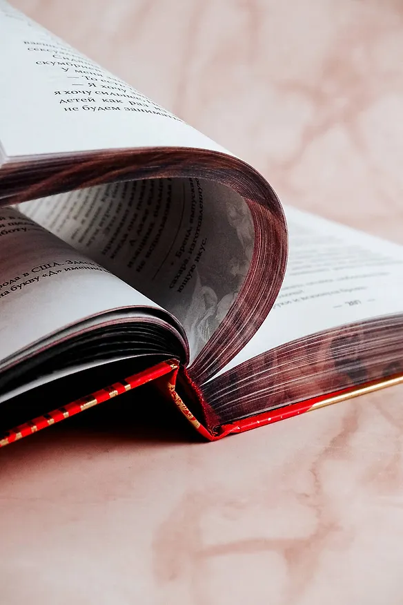 Книга Мой темный Ромео. Специальное издание (Л.Дж. Шэн, Паркер С. Хантингтон) — 17