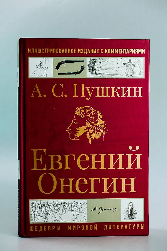 Книга Евгений Онегин (Александр Пушкин) — 6
