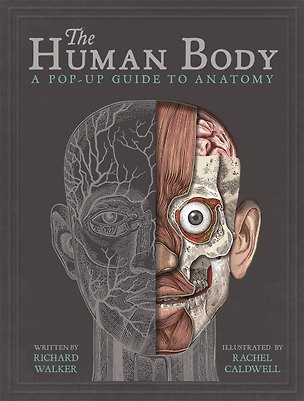 Книга The Human Body (Ричард Уокер)