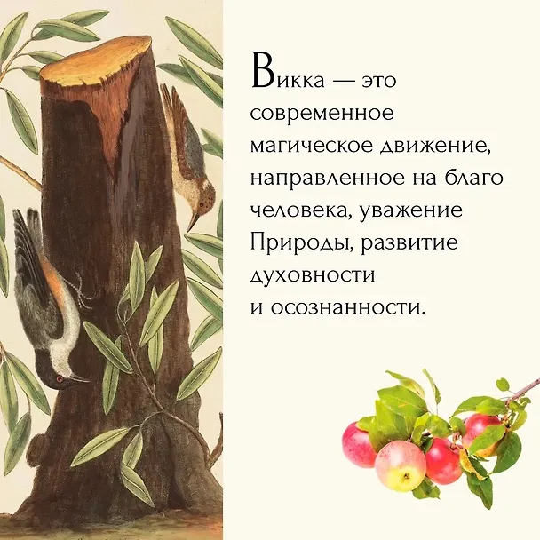 Книга Магия трав и волшебный бестиарий. Сборный комплект из 2-х книг с шоппером (Ипполита Дуглас Скотти ди Виголено, Сабрина Тонутти, Роберто Маркезини) — 11