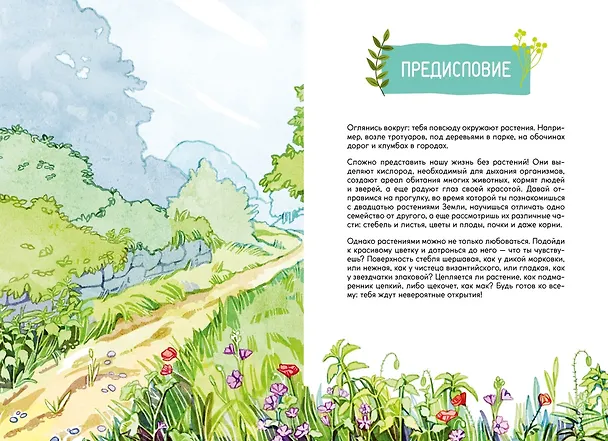 Книга Растения вокруг нас (Роберт Каплан, Франсуа Куплан) — 8
