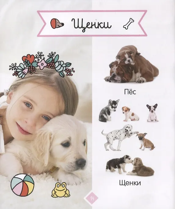 Книга Зверята. Фотокнига () — 2