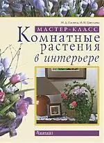 Комнатные растения в интерьере — 2176994 — 1