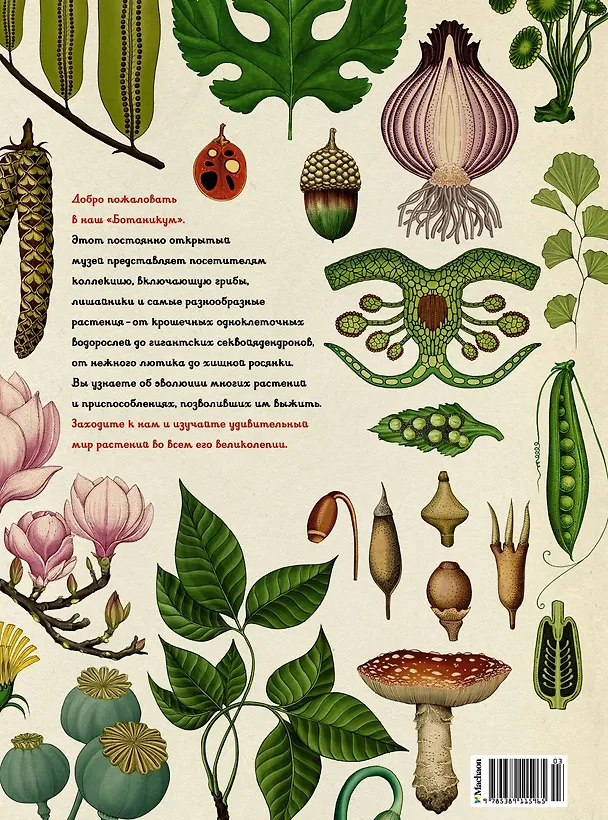 Книга Ботаникум (Кэти Уиллис) — 2