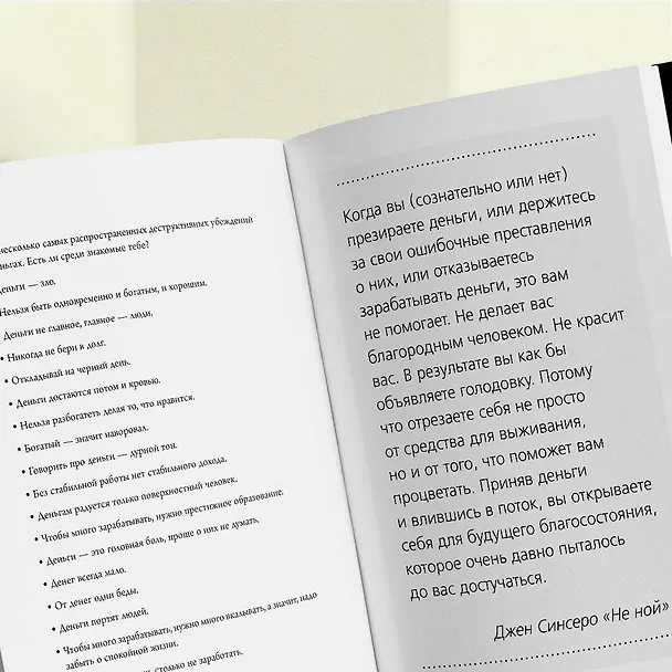Книга НЕ НОЙ. Дерзкий воркбук для тех, кто хочет пробить финансовый потолок (Е. Ланцова) — 7