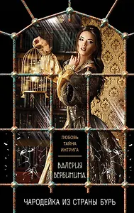 Чародейка из страны бурь: роман