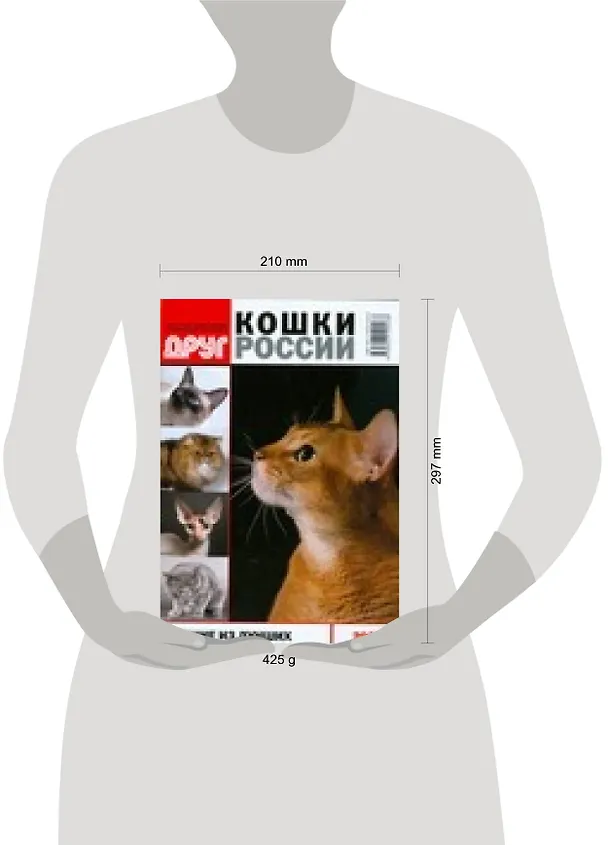 Книга Толковый словарь молодежного сленга от Светы и Ромы Букиных () — 2