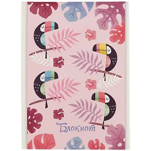 Блокнот в клетку «Туканы», 40 листов, А6