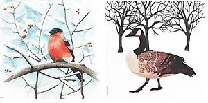 Салфетки для декупажа Зимние птицы - 2 шт. P-TL804000/3331357