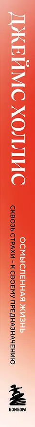 Книга Осмысленная жизнь. Сквозь страхи – к своему предназначению (Джеймс Холлис) — 3