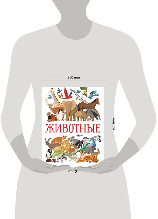 Книга Животные (Иллария Барсотти) — 4
