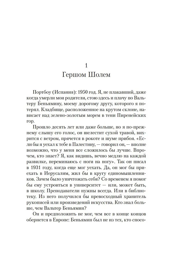 Книга Путь Беньямина (Джей Парини) — 5