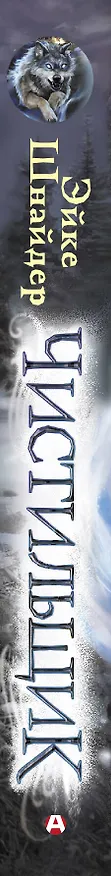 Книга Чистильщик (Эйке Шнайдер) — 3