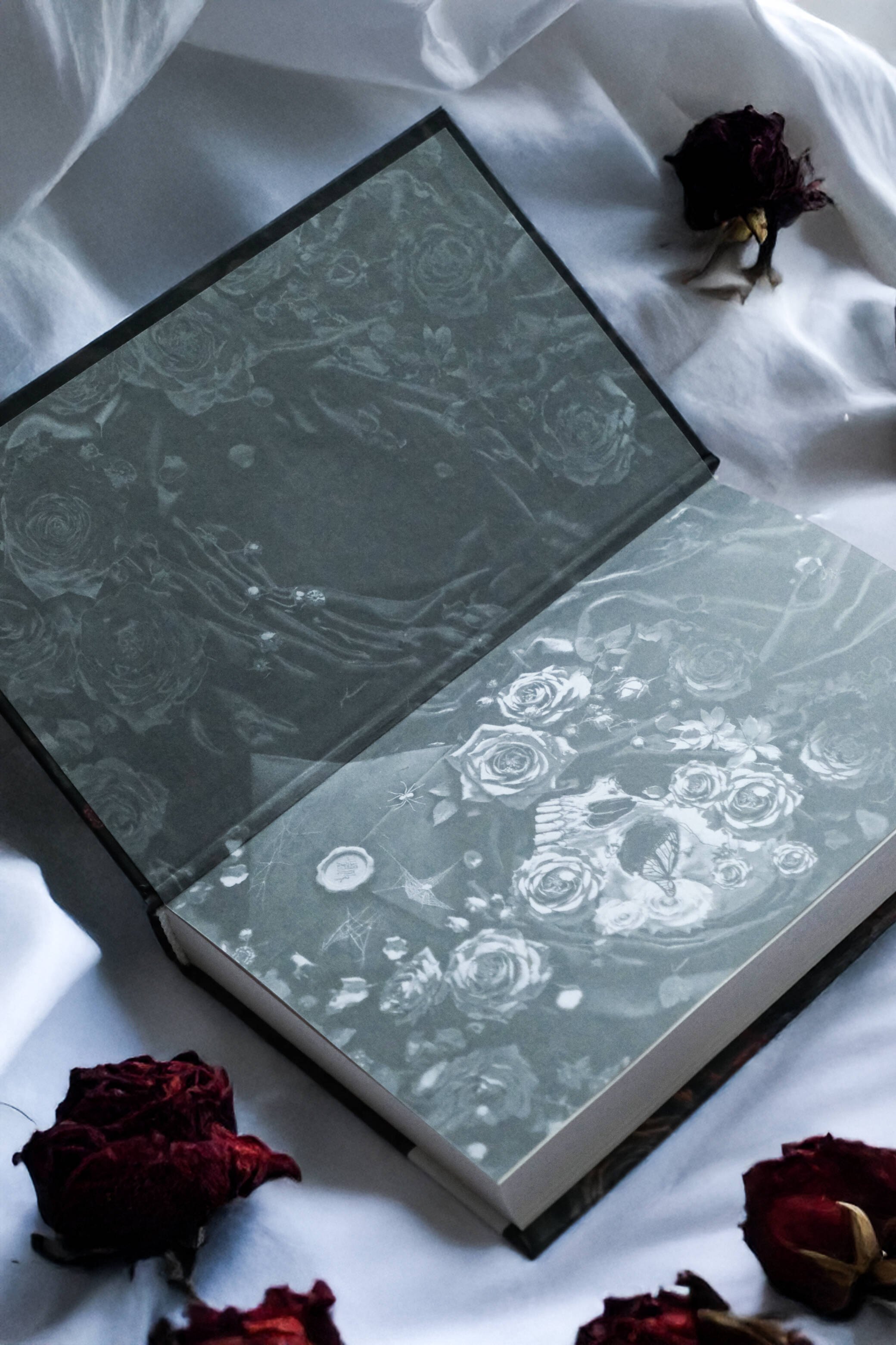 Изображение бумажной книги