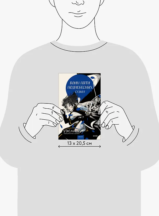 Книга Воин пяти поднебесных: Судьба (Уэсли Чу) — 8