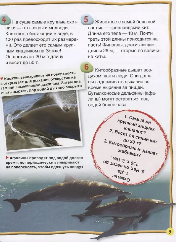 Книга Киты и дельфины (Стив Паркер) — 3