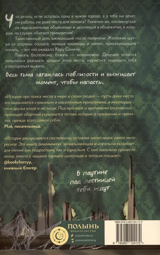 Книга Абрис (Анна Чайка) — 2