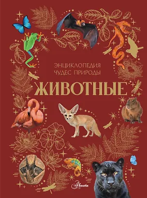 Книга Животные (Ангелина Ярович)