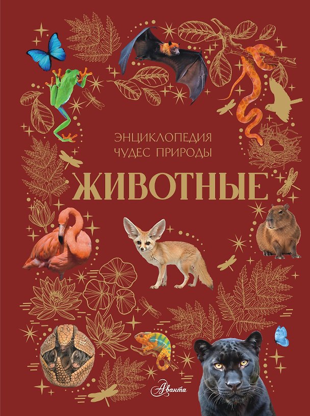 Книга Животные (Ангелина Ярович) — 1