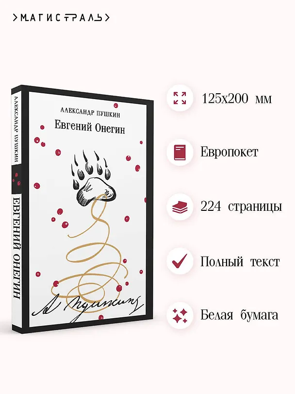 Книга Евгений Онегин (Александр Пушкин) — 6