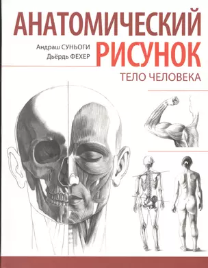 Анатомический рисунок. Тело человека — 2413430 — 1