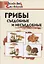 Грибы: съедобные и несъедобные — 2844115 — 1