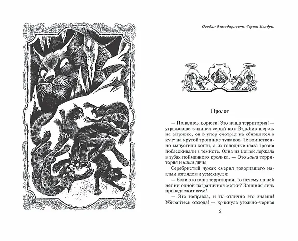 Книга Отверженные (Эрин Хантер) — 2