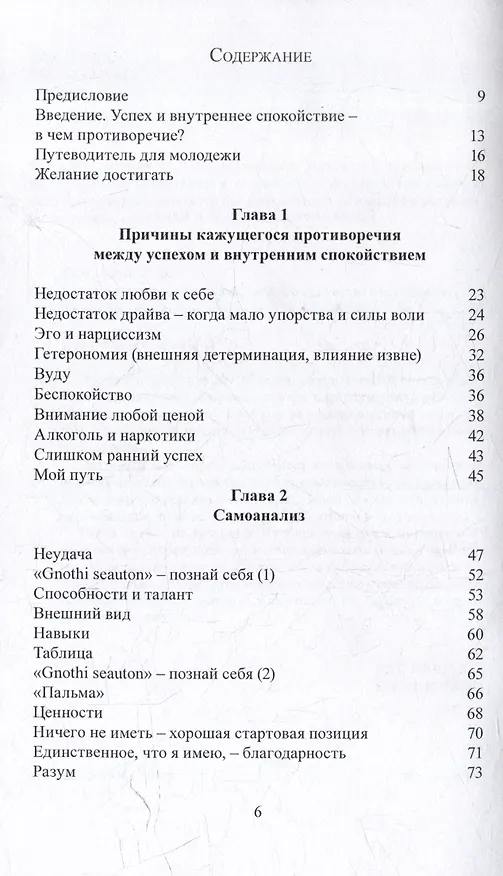 Книга Успех и внутреннее спокойствие. Об искусстве построения жизни (Александр Дим) — 3