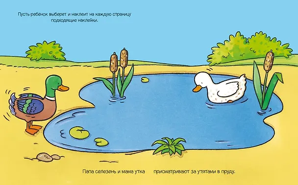 Книга На ферме (Сильви Мишле) — 3