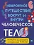 Человеческое тело. Невероятное путешествие вокруг и внутри — 2478286 — 1