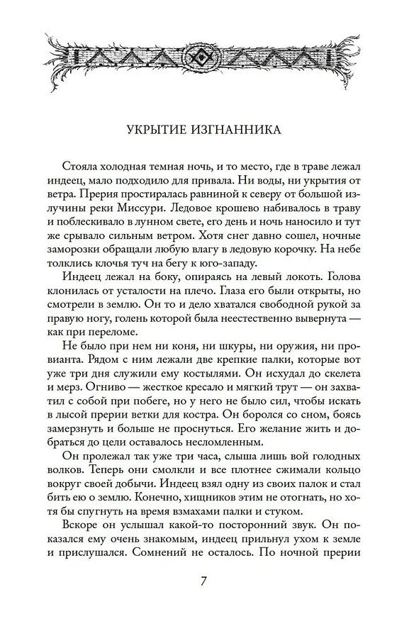 Книга Изгнанники, или Топ и Харри (Лизелотта Вельскопф-Генрих) — 9