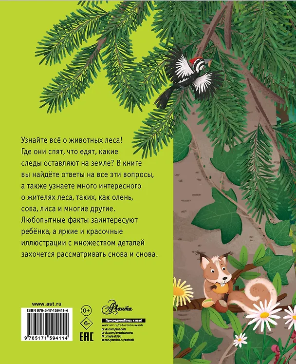 Книга Лесные животные (Лоретта Цоппи) — 2