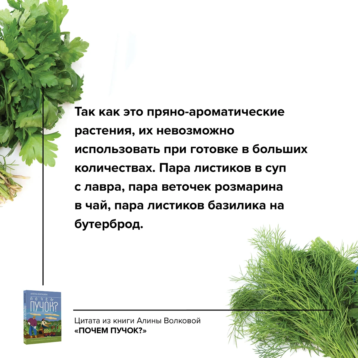 Почем пучок. Как выращивать свою зелень (Алёна Волкова) - купить книгу с  доставкой в интернет-магазине «Читай-город». ISBN: 978-5-17-160021-1