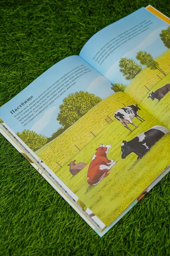Книга Животные рядом с нами (Томас Мюллер) — 10