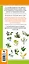 Цветы и травы. Мир удивительных растений. Наглядный карманный определитель — 2846033 — 2