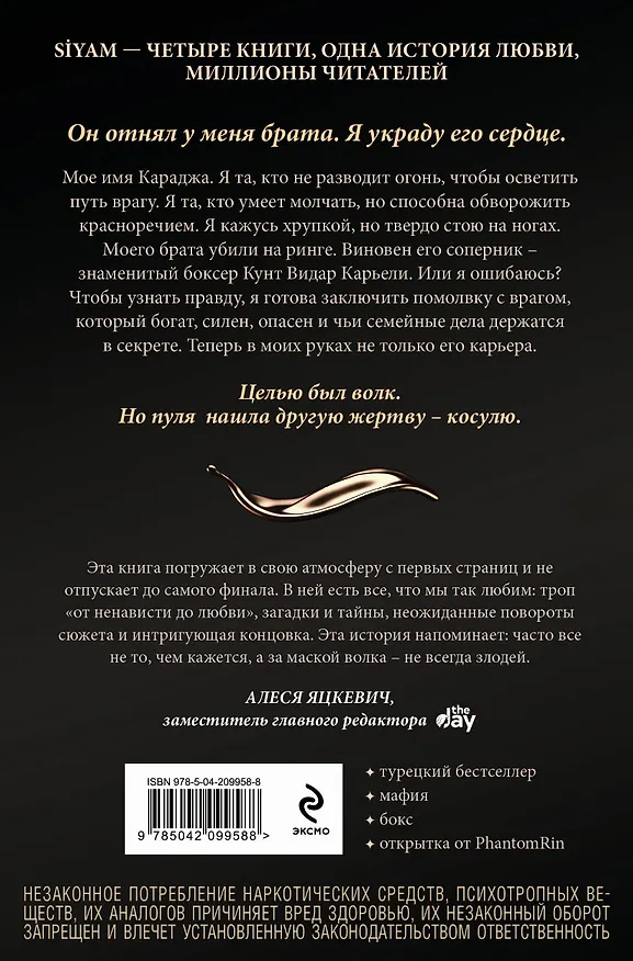Книга Зимнее солнце (Бейза Аксой) — 2