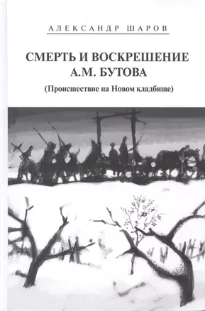 Смерть и воскрешение А.М.Бутова (Происшествие на Новом кладбище). Роман — 2532831 — 1