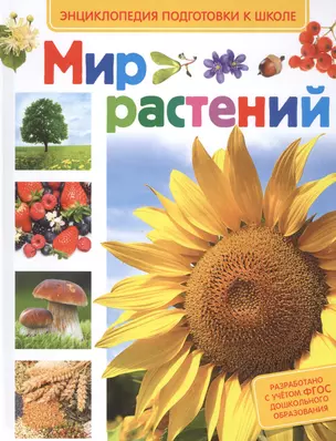 Мир растений — 2487119 — 1