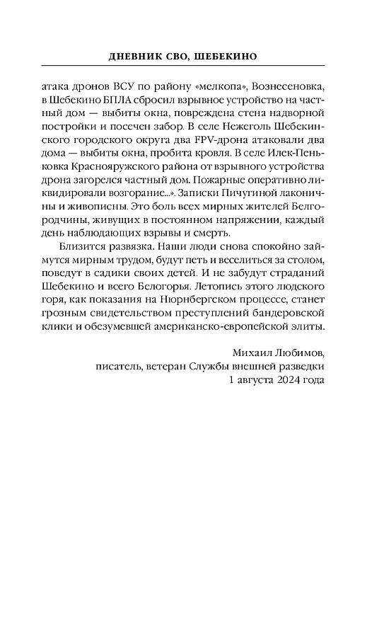 Книга Шебекинский дневник (Ирина Пичугина) — 8