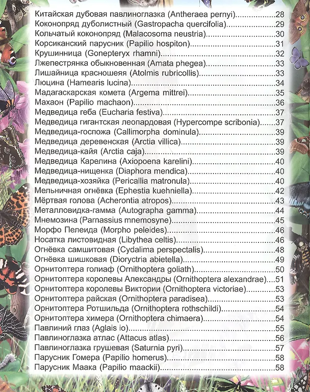 Книга Бабочки. Энциклопедия (Людмила Соколова) — 3
