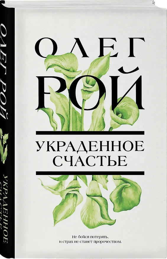Книга Украденное счастье (Олег Рой) — 4