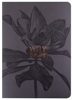 Тетрадь в клетку Be Smart, Aesthetics, 48 листов 2900024