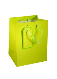 Пакет подарочный бумажный А5 18*23*10 желтый, мат. ламинат, Хансибэг